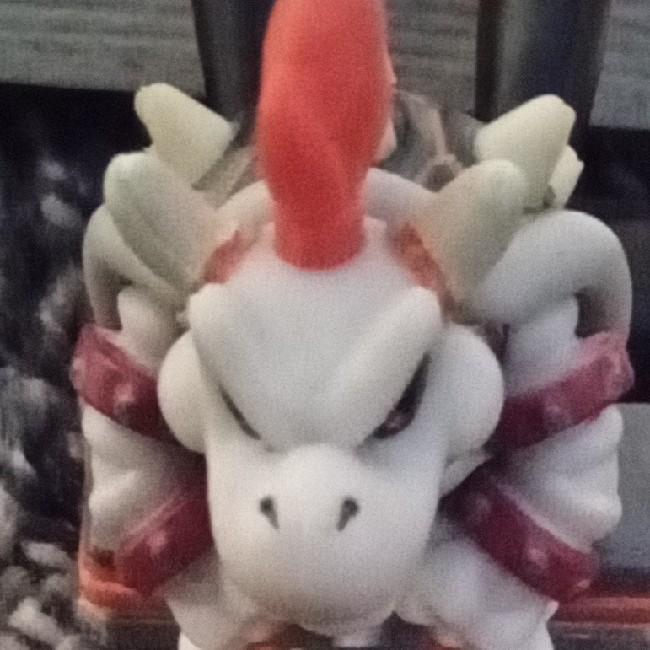 Dry Bowser