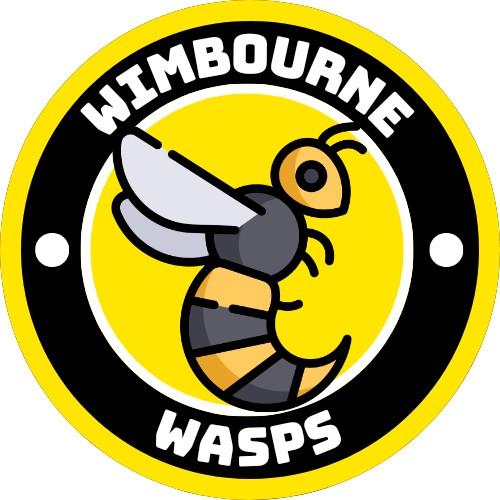 85 Wimbourne Wasps