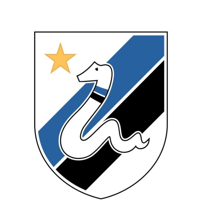 Internazionale