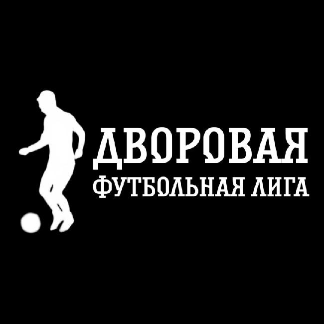 Дворовая Футбольная Лига