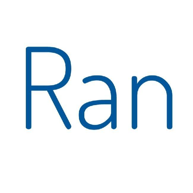 Rapchik