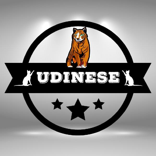 Udinese Calcio