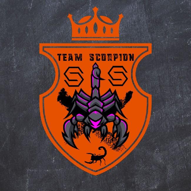 Team Scorpion