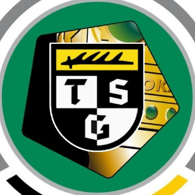 TSG Balingen