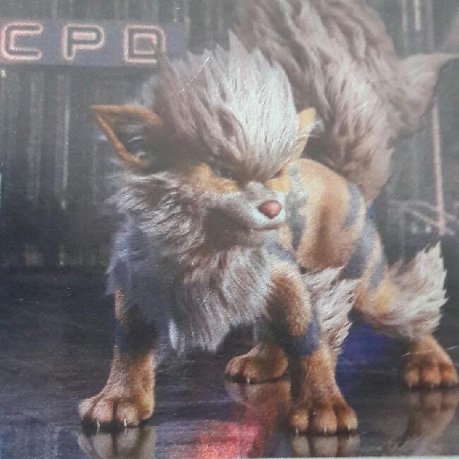 Arcanine D.P