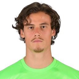 Svilar