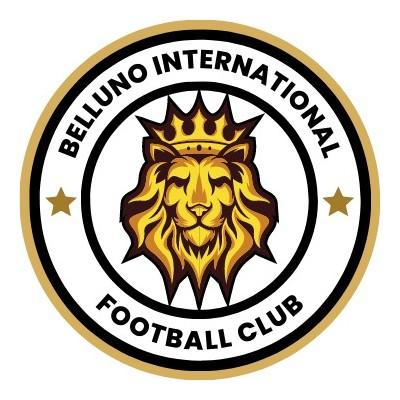 Belluno International FC