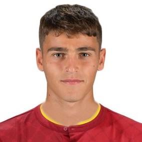 Faticanti