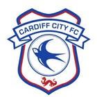 CARDIFF CITY