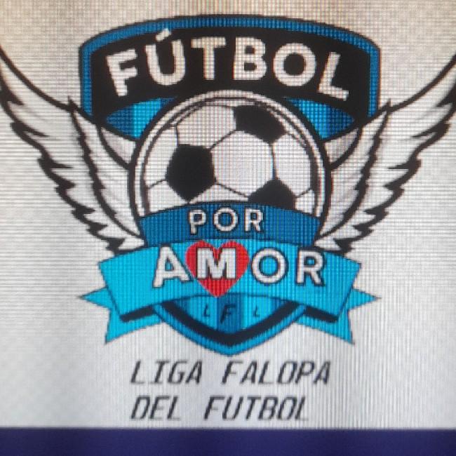 LIGA FALOPA DEL FUTBOL