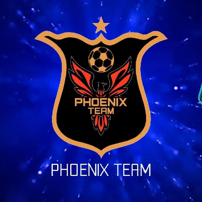Phoenix Team