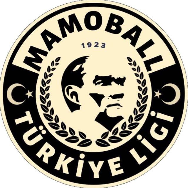 Mamoball Türkiye Ligi