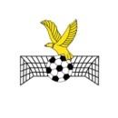 Manurewa AFC
