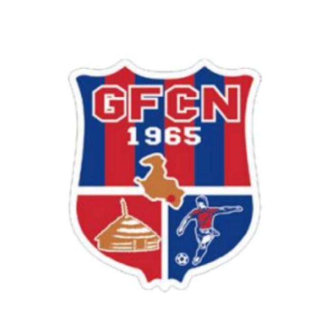 Gaitcha FCN