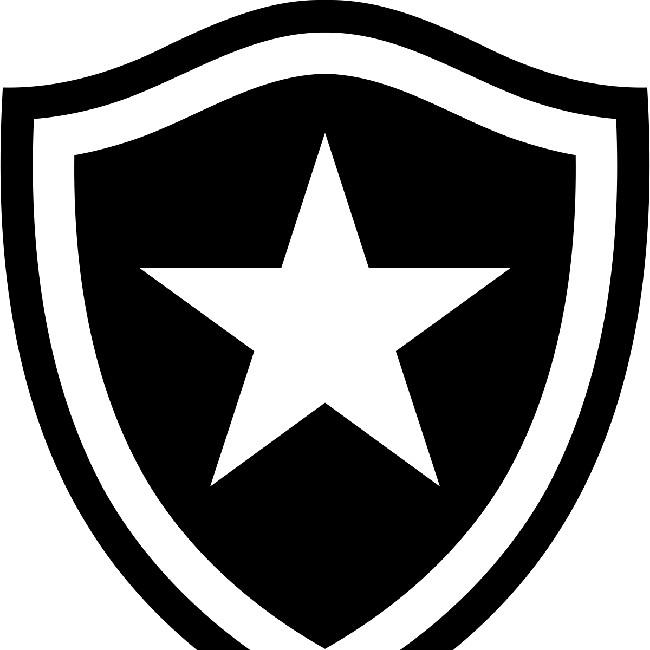 Botafogo fc