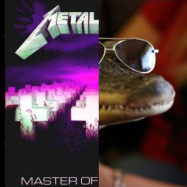 masterofpuppets and akigator