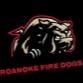 Roanoke Fire Dogs