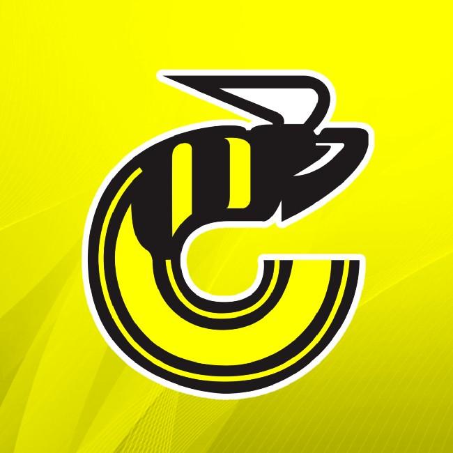 Cincinnati Stingers