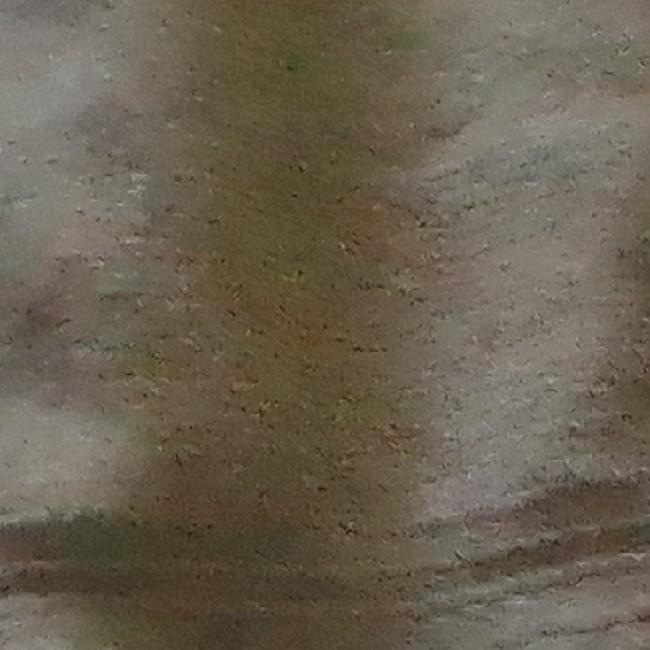 VCM