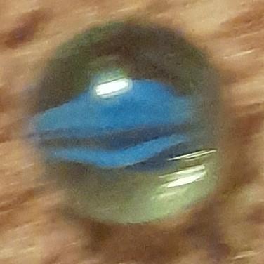 Blue & Clear