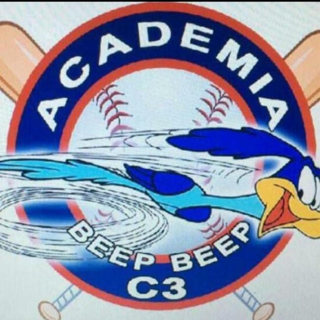 Correcaminos Beep Beep C3
