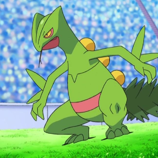 Sceptile ²