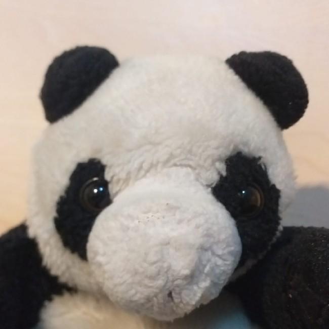 Panda Eda 23 Med 94 ED