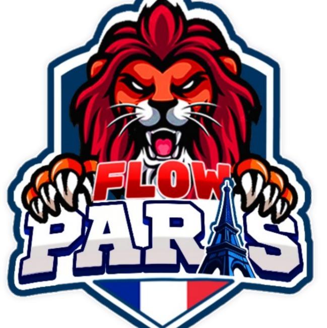 FC Flow Paris