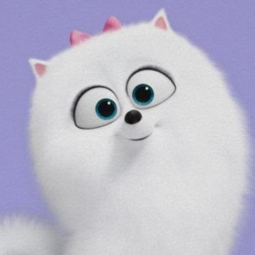 Gidget