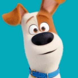 Max