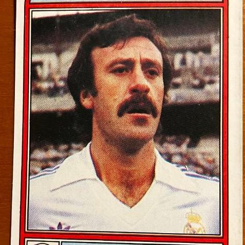 Vicente Del Bosque