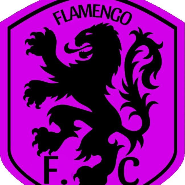 FLAMENGO F.C