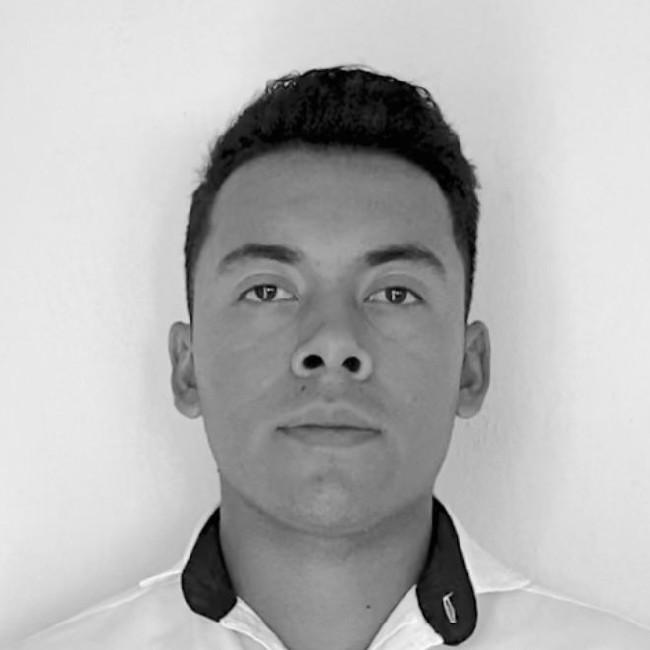 Luis Fabián Pedroza Andrade