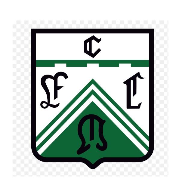 🇦🇷 Ferro