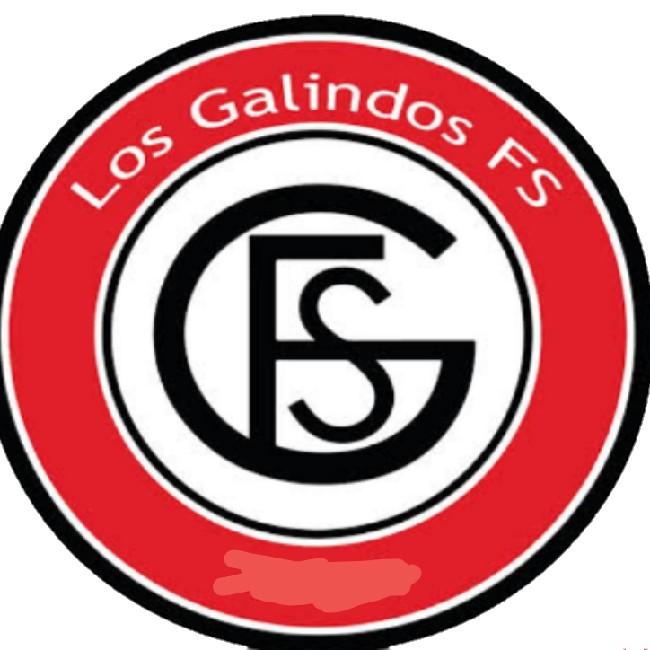 [DIV 1] ReGalindos