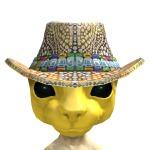 Coolkid593fe