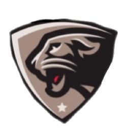 Washington Cougars