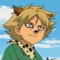 Cheetah