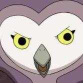 Mistis Strix