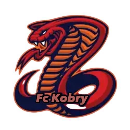 FC Kobry