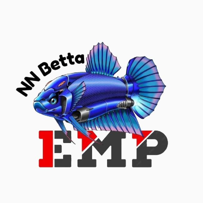 NN BETTA