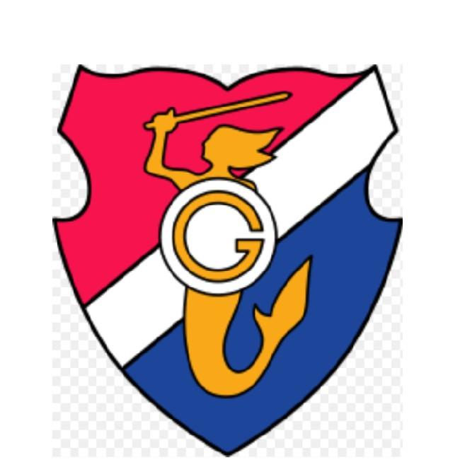 🇵🇱 Gwardia Varsovia