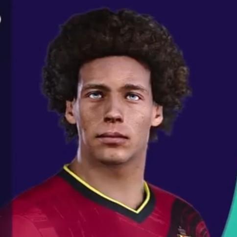 17. Witsel