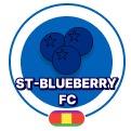 Saint Blueberry FC