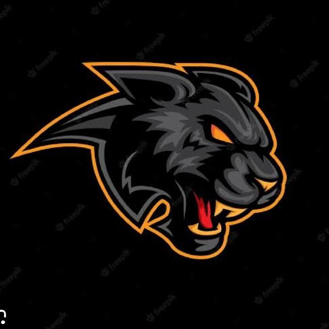 Black Panthers