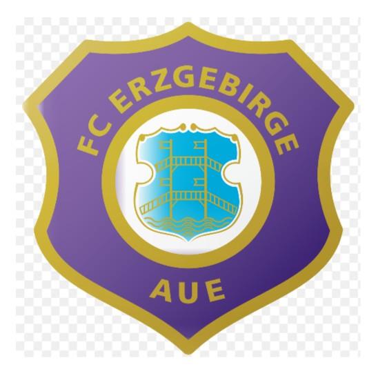 🇩🇪 F. C. Erzgebirge Aue