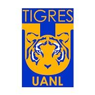 TIGRES