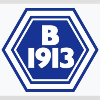 🇩🇰 B 1913 Odense