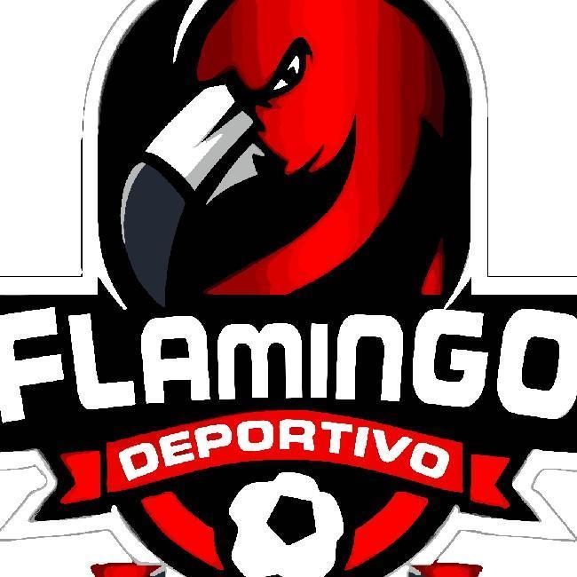 Flamingo F.C. / A