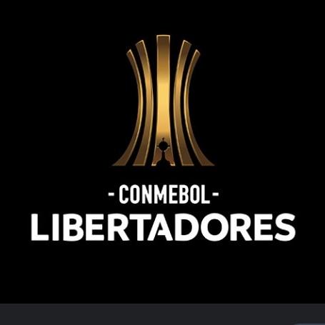 Copa libertadores